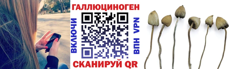 Галлюциногенные грибы MAGIC MUSHROOMS  Сусуман 